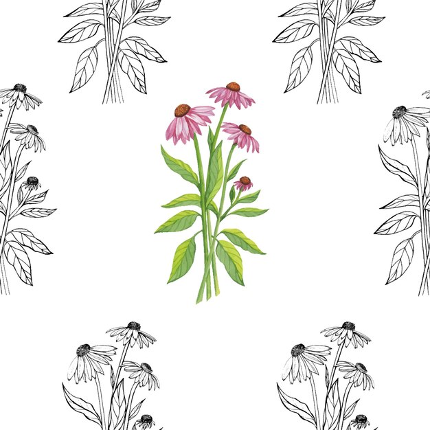 Vector echinacea-patroon