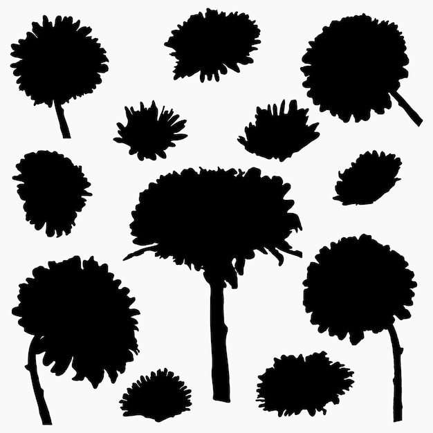 Echte moderne silhouetten planten kruiden Tekening bloemen aster Platte ontwerpsjabloon Geïsoleerde vector