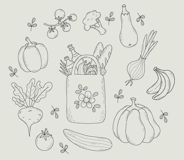 Eco bag with food and vegetables outline drawings paper bag beetroot tomato cucumber eggplant