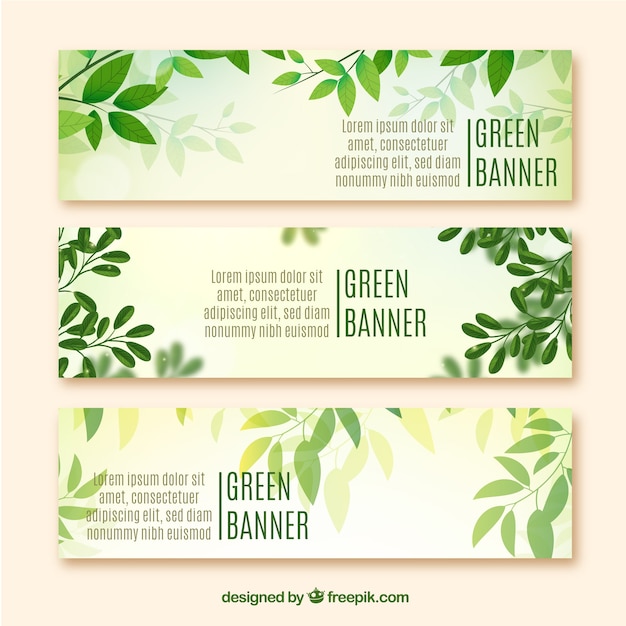 Vector eco banners