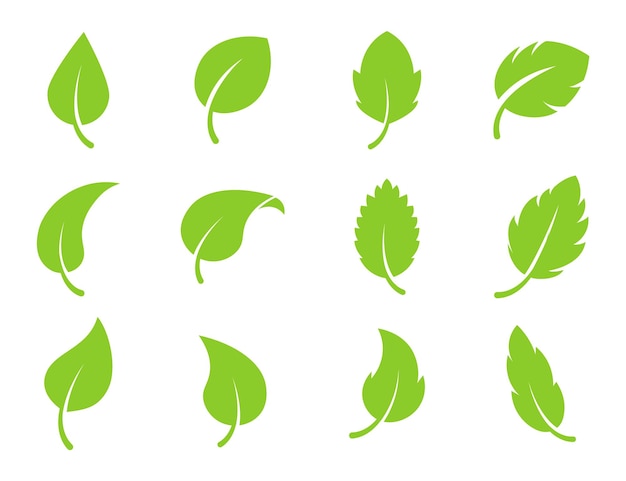 Vector eco blad groene kleur vector logo platte pictogrammenset geïsoleerde bladeren vormen op witte achtergrond bio plant ...