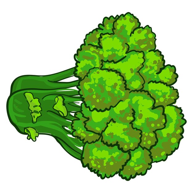 Eco broccoli icoon cartoon van eco broccoli vector icoon voor webontwerp geïsoleerd op witte achtergrond