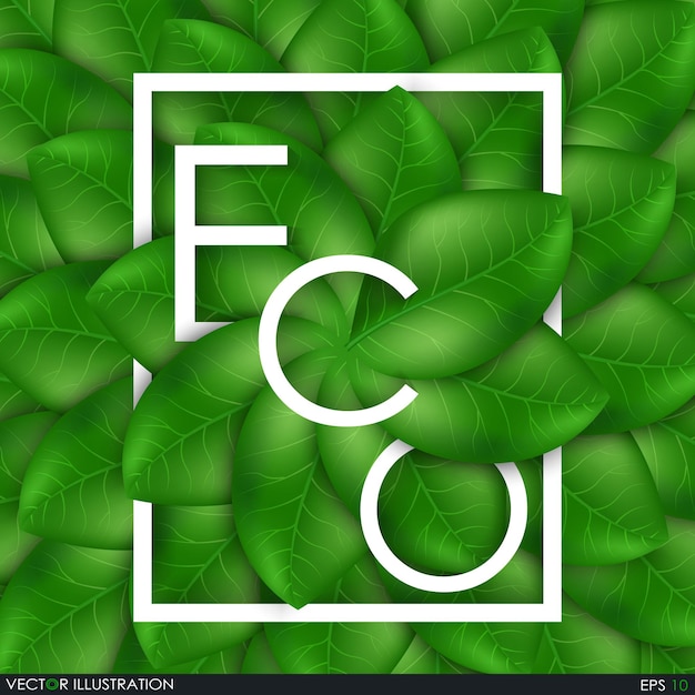 Eco de inscriptie van de bladeren Bladeren ontwerpelementen Vector Eco-stijl Groene spruit groene bladeren
