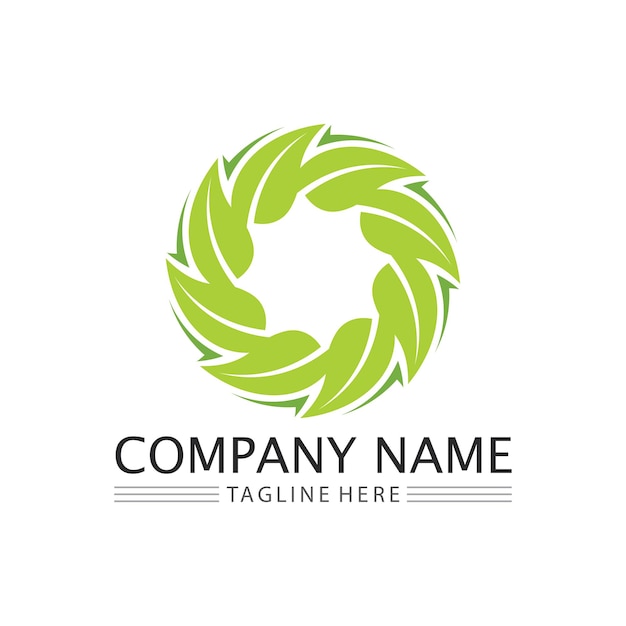 Eco Energy Vector Logo with leaf symbol Green color with flash or thunder graphic Nature and electricity renewable This logo is suitable for technology recycle organic