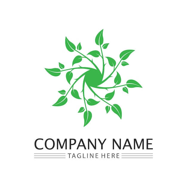 Eco Energy Vector Logo with leaf symbol Green color with flash or thunder graphic Nature and electricity renewable This logo is suitable for technology recycle organic