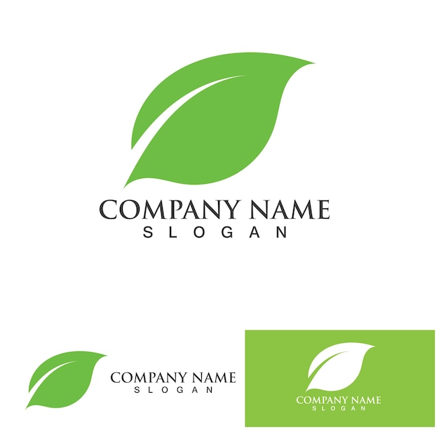 Eco Energy Vector Logo with leaf symbol Green color with flash or thunder graphic Nature and electricity renewable This logo is suitable for technology recycle organic