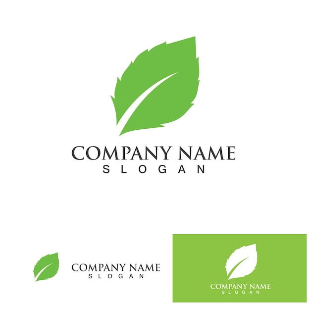 Eco Energy Vector Logo with leaf symbol Green color with flash or thunder graphic Nature and electricity renewable This logo is suitable for technology recycle organic