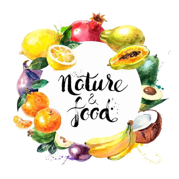 Vettore sfondo del menu di cibo ecologico illustrazione vettoriale di frutti disegnati a mano ad acquerello