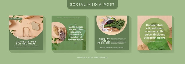 Vector eco friendly social media template