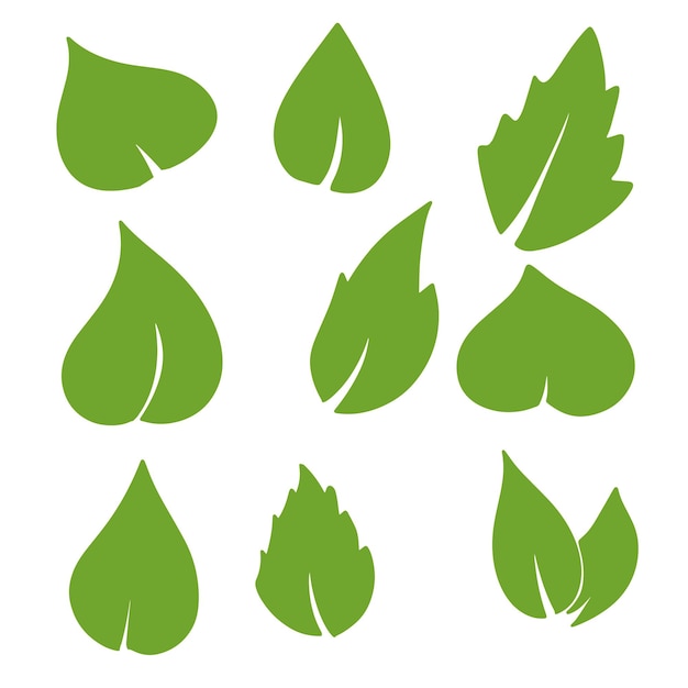 Eco green color leaf vector flat set. Isolated leaves shapes on white background.