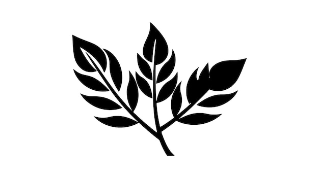 Eco icon black leaf vector illustration isolated on white background