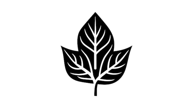 Eco icon black leaf vector illustration isolated on white background