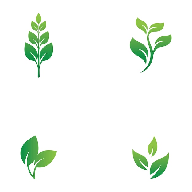 Eco icon green leaf vector illustration