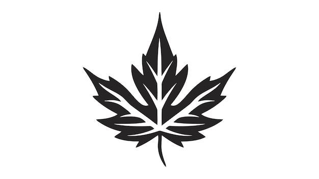 Eco-icon zwarte bladvectorillustratie geïsoleerd op witte achtergrond