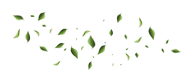 Eco leaves in flight