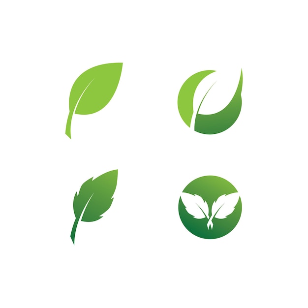 Eco Tree Leaf Logo Template