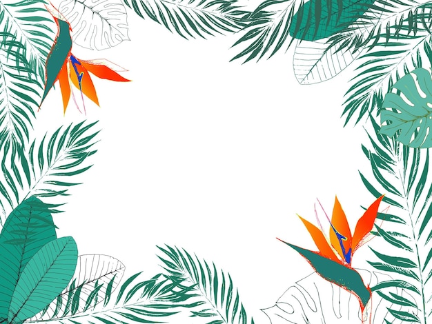 Eco tropische sjabloon met plaats voor tekst. jungle exotisch frame van strelitzia bloemen, palmbladeren, monstera bladeren, frangipani. eps8 vectorillustratie