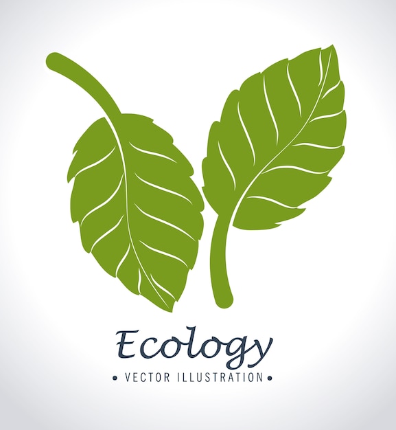 Ecologisch ontwerp