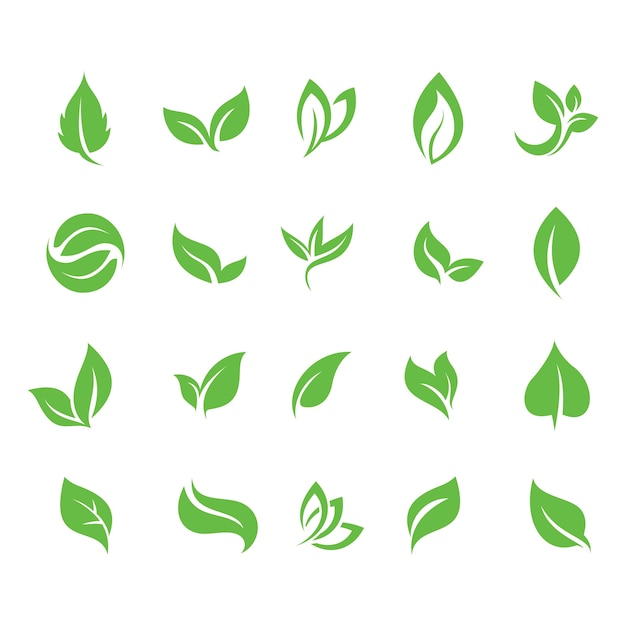 Vector ecology green leaf simple icon symbol