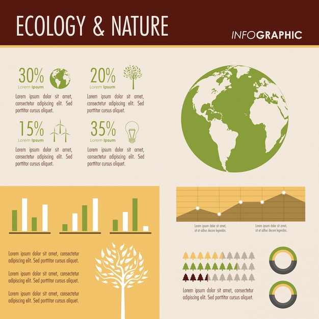 Vector ecology infographic design