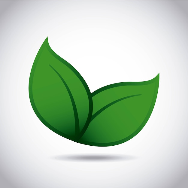 Vector ecology leafs green icon