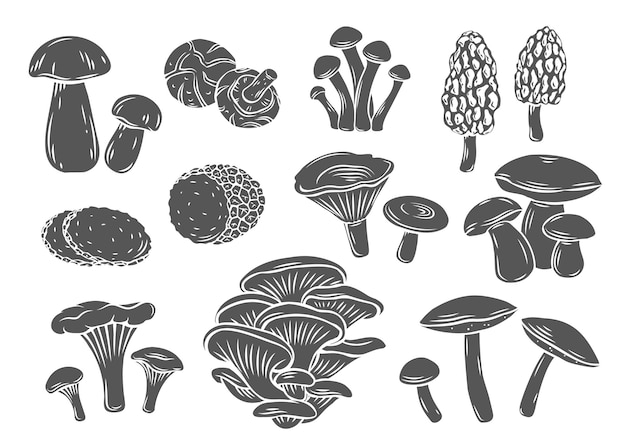 Edible mushrooms glyph