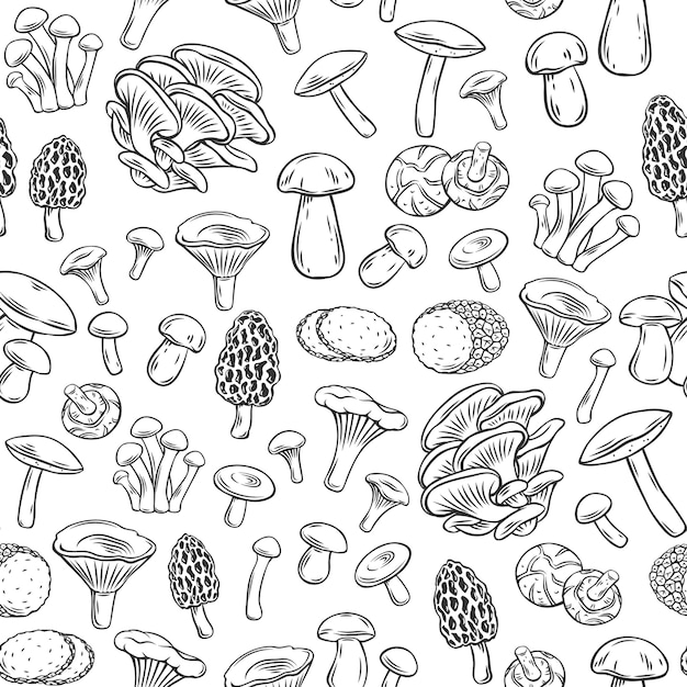 Vector edible mushrooms outline seamless pattern