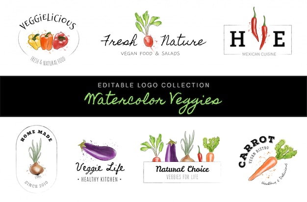 Vector editable logo collection - watercolor veggies