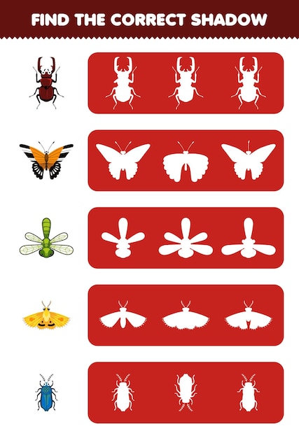 Educatief spel voor kinderen vind het juiste schaduwsilhouet van schattige cartoon kever vlinder libel mot kever afdrukbare bug werkblad