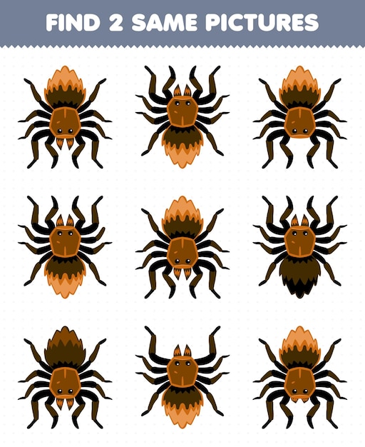 Educatief spel voor kinderen vind twee dezelfde foto's van schattige cartoon tarantula spider afdrukbare bug werkblad