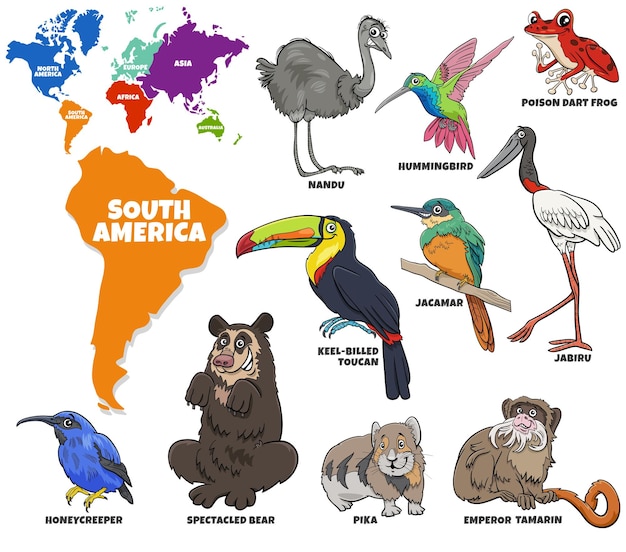 Educatieve illustratie van cartoon Zuid-Amerikaanse dieren set