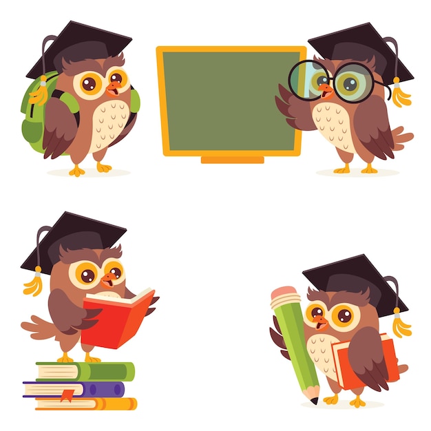 Vector education concept  with cartoon owl