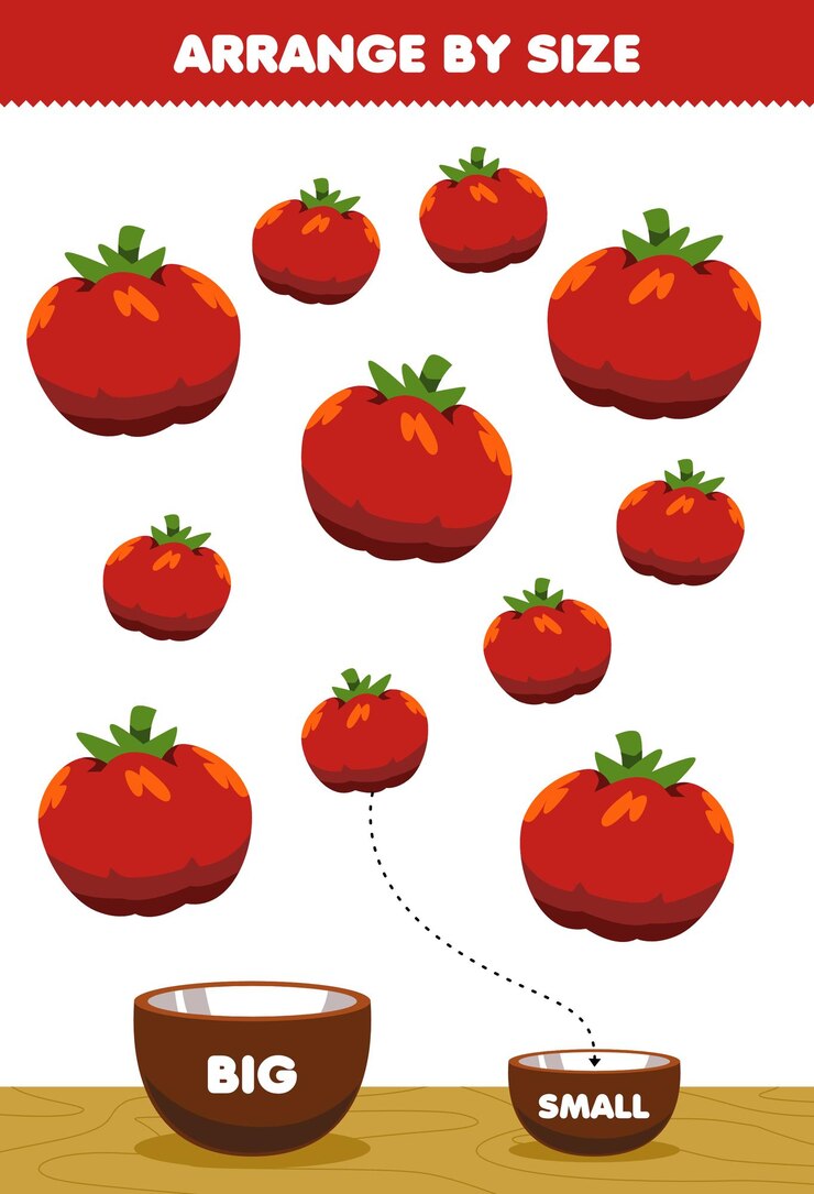 Vector education game for children arrange by size big or small put it in the bowl cartoon vegetable tomato pictures
