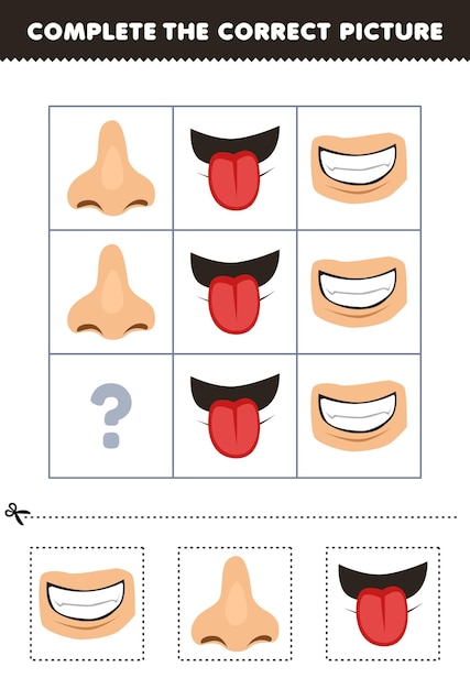 귀여운 만화 치아 코 또는 혀 인쇄 가능한 해부학 워크시트의 올바른 그림을 선택하고 완료하는 어린이를 위한 교육 게임
