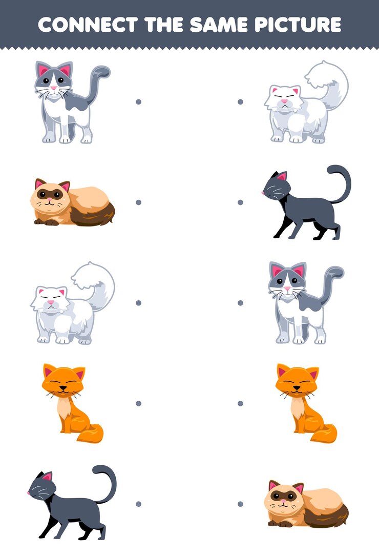 Vector education game for children connect the same picture of cute cats printable pet worksheet