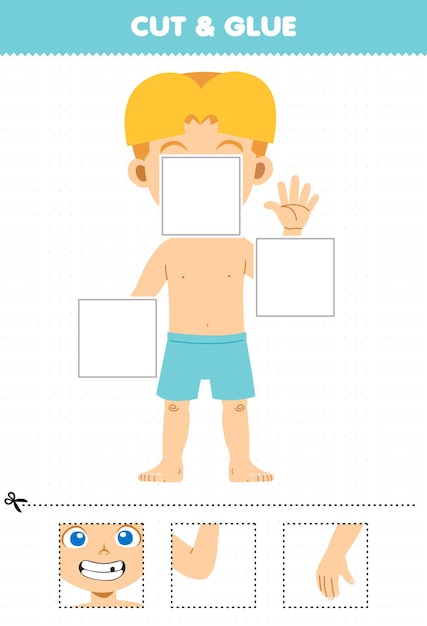 Vector education game for children cut and glue cut parts of cute cartoon boy anatomy printable worksheet