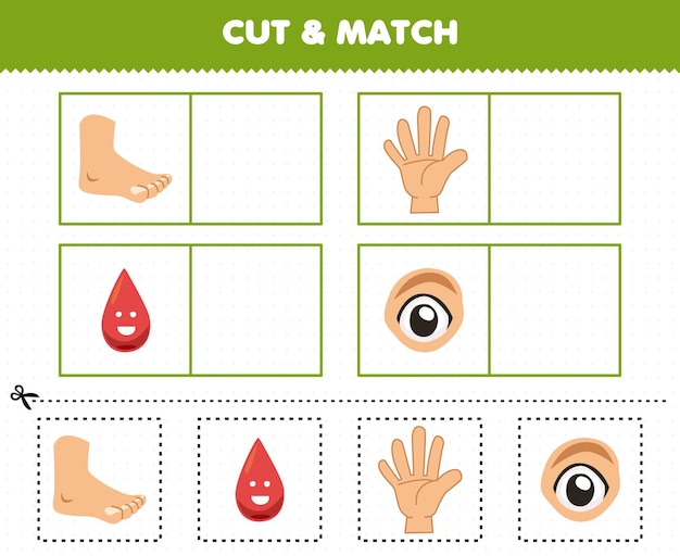 Il gioco educativo per bambini taglia e abbina la stessa immagine dell'anatomia umana dei cartoni animati e dell'occhio sanguigno del dito del piede dell'organo