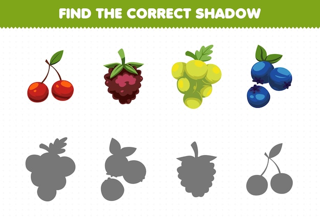 Education game for children find the correct shadow set of cartoon berry fruits cherry dewberries grape blueberry