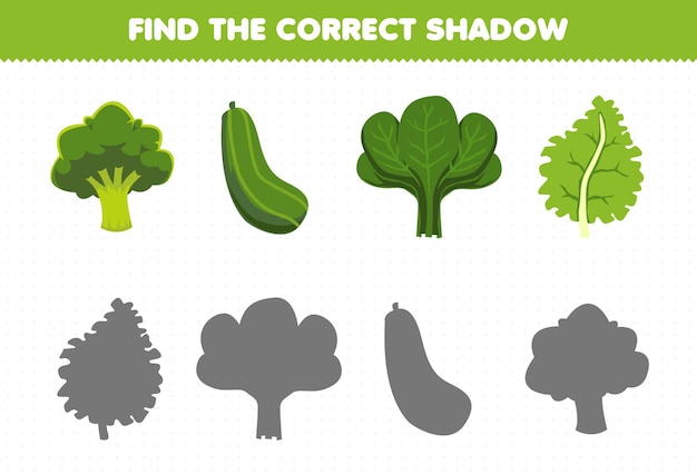 Education game for children find the correct shadow set of cartoon green vegetables broccoli cucumber spinach kale