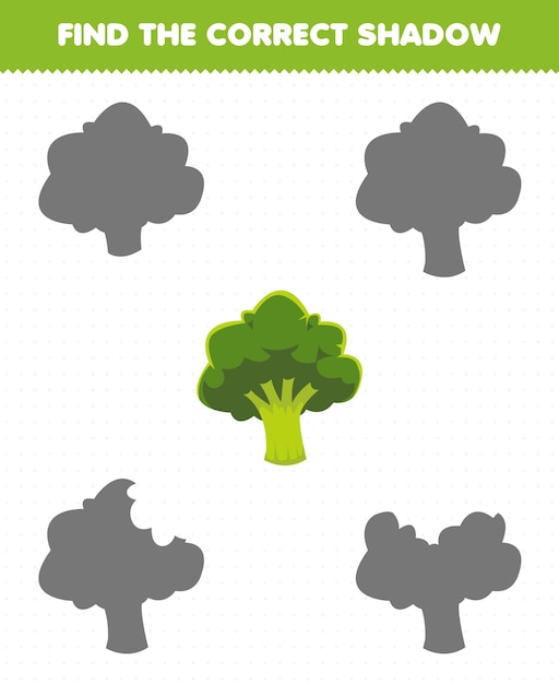 Education game for children find the correct shadow set of cartoon vegetable broccoli