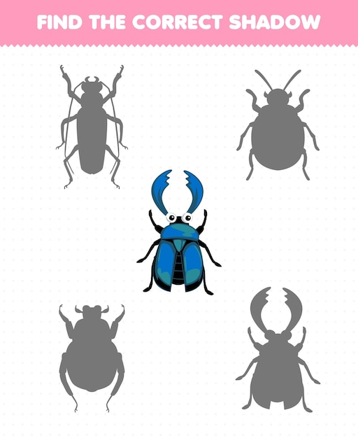 Education game for children find the correct shadow set of cute cartoon beetle printable bug worksheet