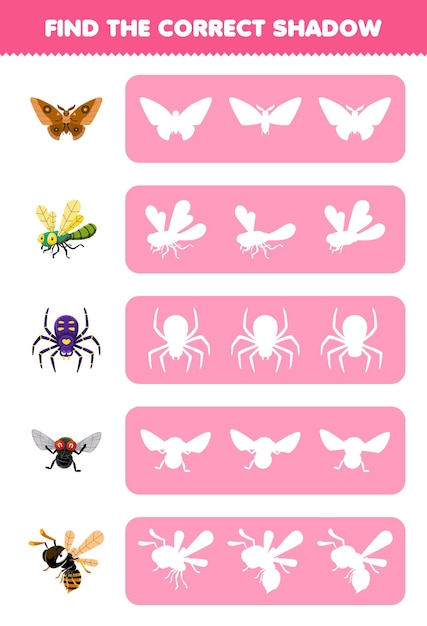 Education game for children find the correct shadow silhouette of cute cartoon butterfly dragonfly spider fly bee printable bug worksheet