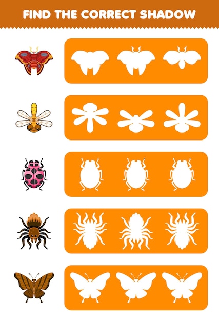 어린이를 위한 교육 게임은 귀여운 만화 나방 잠자리 무당벌레 거미 나비 인쇄용 버그 워크시트의 정확한 그림자 실루엣을 찾습니다.