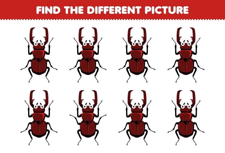 Vector education game for children find the different picture of cute cartoon beetle printable bug worksheet
