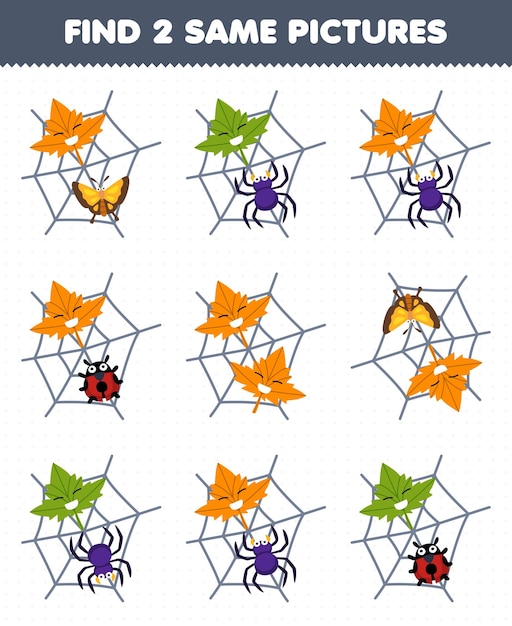 Education game for children find two same pictures of cute cartoon bug and leaf in the spider web printable nature worksheet