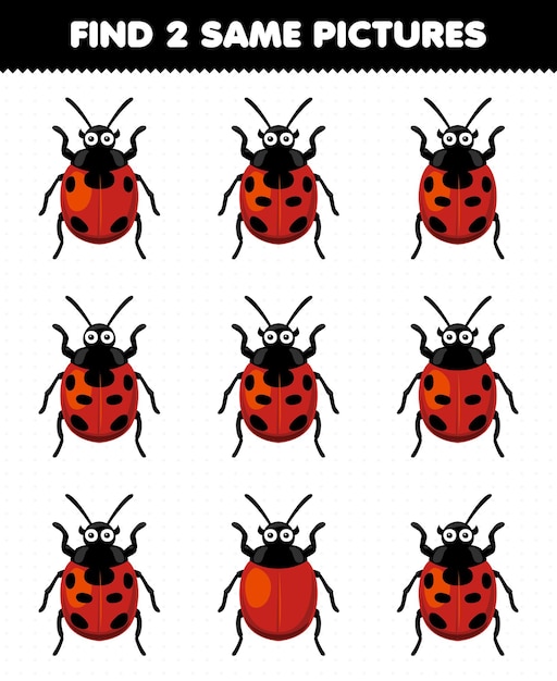 Education game for children find two same pictures of cute cartoon ladybug printable bug worksheet