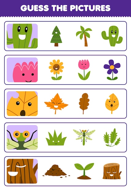 Education game for children guess the correct pictures of cute cartoon cactus flower leaf dragonfly wood log printable nature worksheet