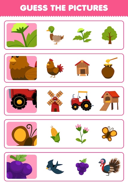 Gioco educativo per bambini indovina le immagini corrette del simpatico cartone animato fiore pollo trattore farfalla uva stampabile foglio di lavoro fattoria