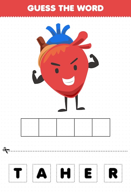 Education game for children guess the word letters practicing cute cartoon internal organ heart