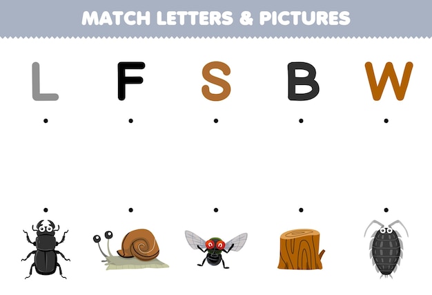 Education game for children match letters and pictures of cute cartoon beetle snail fly wood louse printable bug worksheet